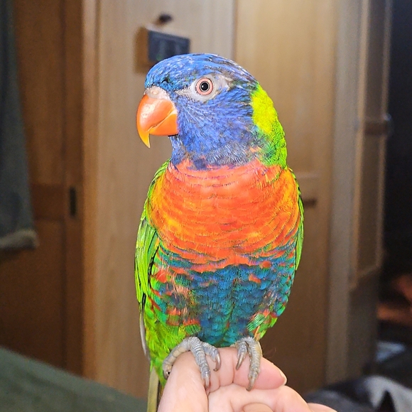 Meet your Posher, Thanh - Picture 7 of 10